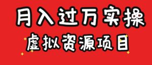 虚拟资源项目实操月入过万-海纳网创学院