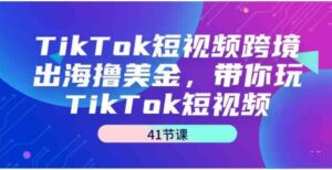 （9155期）TikTok短视频跨境出海撸美金，带你玩TikTok短视频（41节课）-海纳网创学院