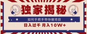 （9362期）独家揭秘，如何手把手带你做项目，日入上千，月入10W+-海纳网创学院