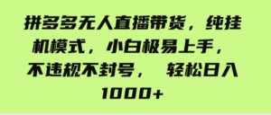 （9511期）拼多多无人直播带货，纯挂机模式，小白极易上手，不违规不封号，轻松日…-海纳网创学院