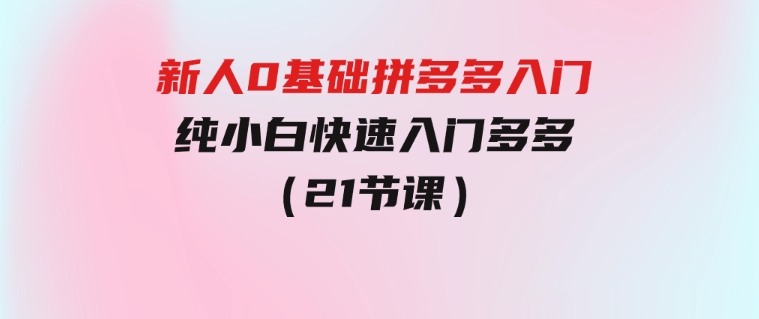 新人0基础拼多多入门，​纯小白快速入门多多（21节课）-海纳网创学院