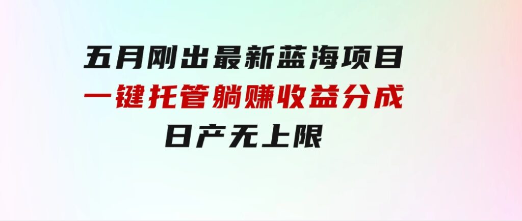 五月刚出最新蓝海项目一键托管躺赚收益分成日产无上限-海纳网创学院