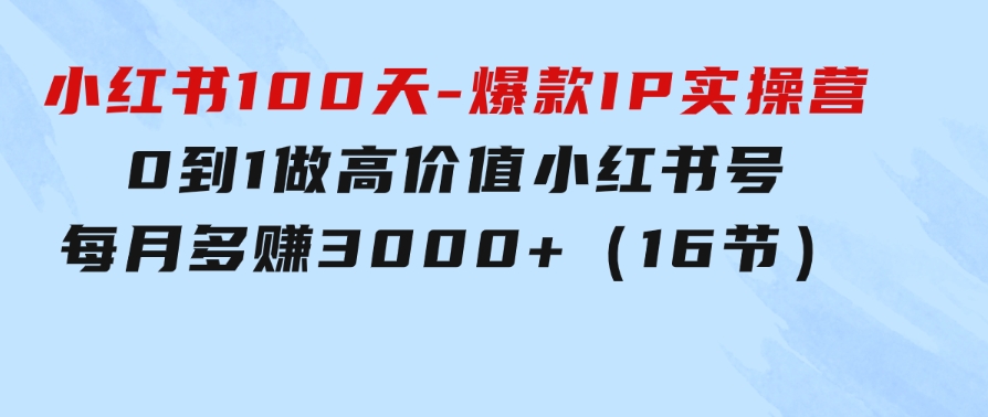 小红书100天-爆款IP实操营，0到1做高价值小红书号每月多赚3000+（16节）-海纳网创学院