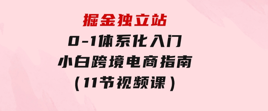 掘金独立站，0-1体系化入门，小白跨境电商指南（11节视频课）-海纳网创学院