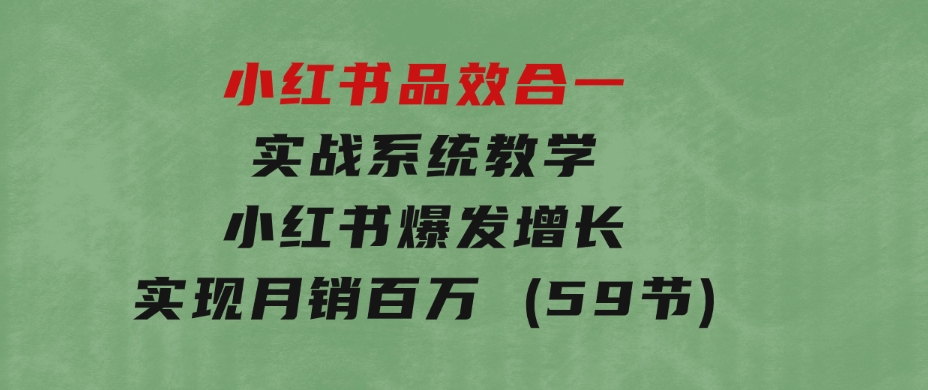 小红书品效合一实战系统教学：小红书爆发增长，实现月销百万(59节)-海纳网创学院