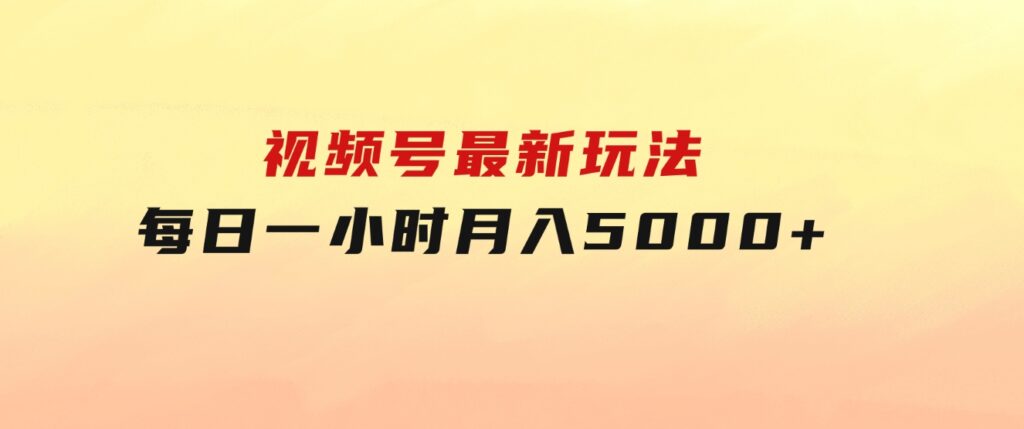 视频号最新玩法，每日一小时月入5000+-海纳网创学院