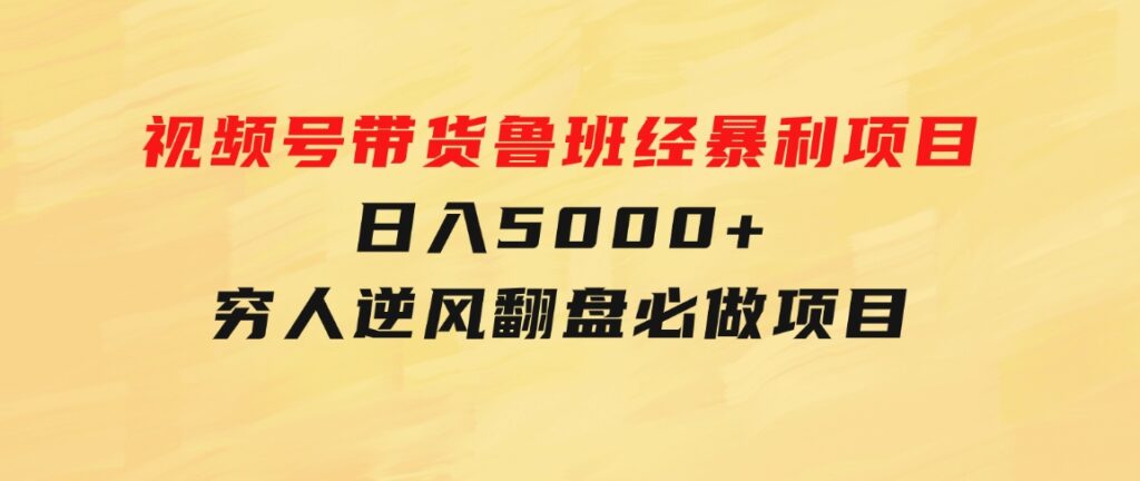 视频号带货鲁班经暴利项目，日入5000+，穷人逆风翻盘必做项目-海纳网创学院