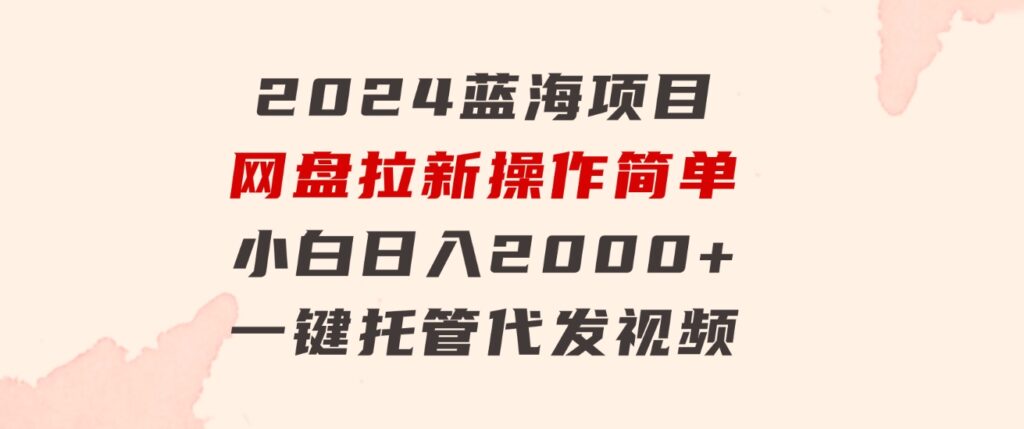 2024蓝海项目，网盘拉新，操作简单小白日入2000+，一键托管代发视频-海纳网创学院