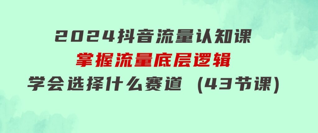 2024抖音流量·认知课：掌握流量底层逻辑，明白应该选择什么赛道(43节课)-海纳网创学院