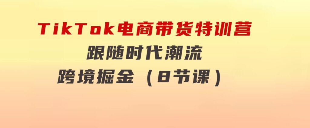 TikTok电商带货特训营，跟随时代潮流，跨境掘金（8节课）-海纳网创学院