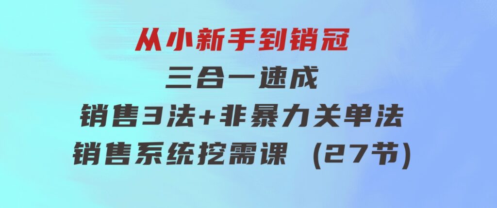 从小新手到销冠三合一速成：销售3法+非暴力关单法+销售系统挖需课(27节)-海纳网创学院