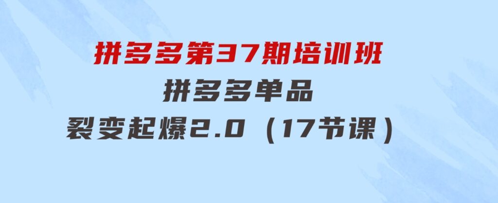 拼多多第37期培训班：拼多多单品裂变起爆2.0（17节课）-海纳网创学院