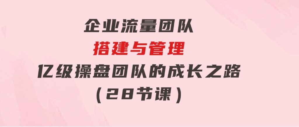 企业流量团队-搭建与管理，亿级操盘团队的成长之路（28节课）-海纳网创学院