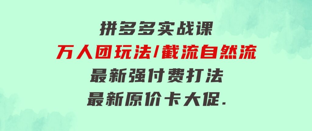 拼多多·实战课：万人团玩法/截流自然流/最新强付费打法/最新原价卡大促..-海纳网创学院