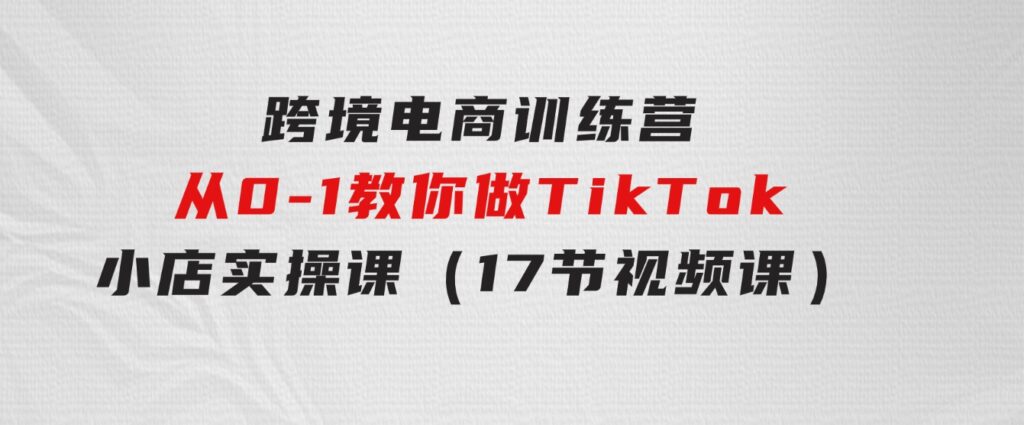 跨境电商训练营：从0-1教你做TikTok小店实操课（17节视频课）-海纳网创学院