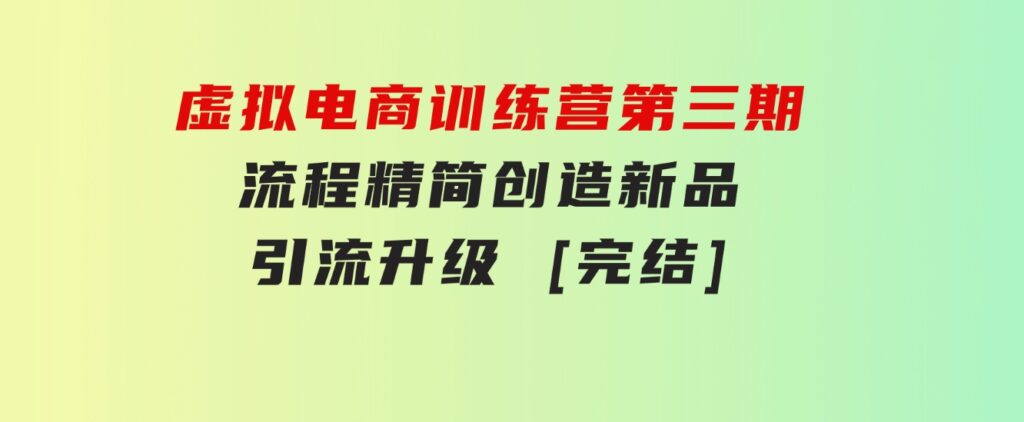 虚拟电商训练营第三期丨流程精简丨创造新品丨引流升级[完结]-海纳网创学院