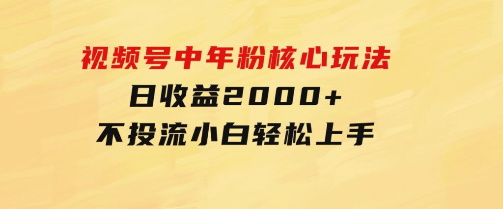 视频号中年粉核心玩法日收益2000+不投流小白轻松上手-海纳网创学院