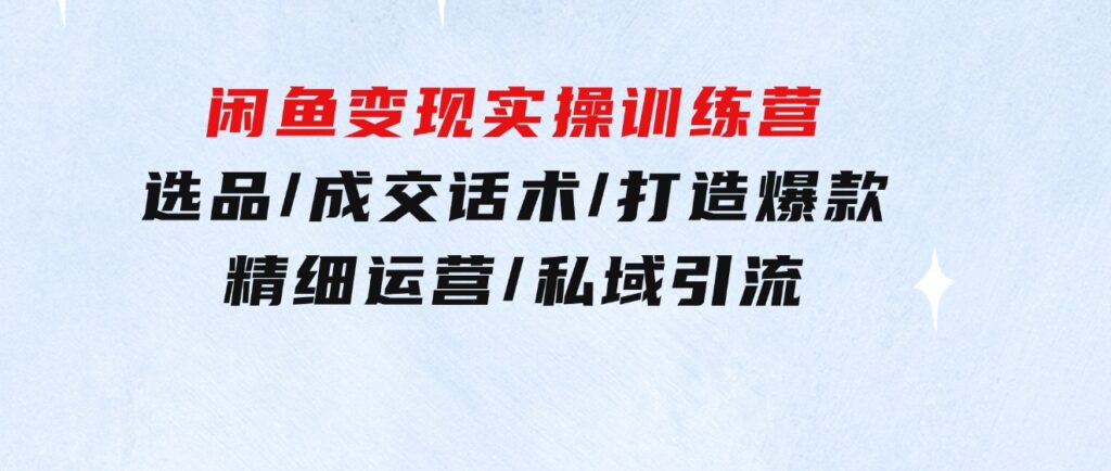 闲鱼变现实操训练营第2期：选品/成交话术/打造爆款/精细运营/私域引流-海纳网创学院