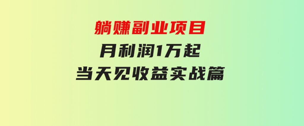 躺赚副业项目，月利润1万起，当天见收益，实战篇-海纳网创学院