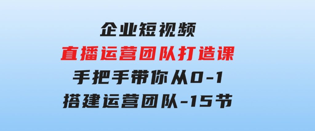 企业短视频-直播运营团队打造课，手把手带你从0-1搭建运营团队-15节-海纳网创学院