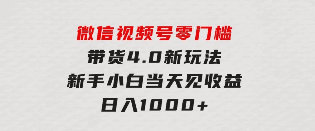 微信视频号零门槛带货4.0新玩法，新手小白当天见收益，日入1000+-海纳网创学院