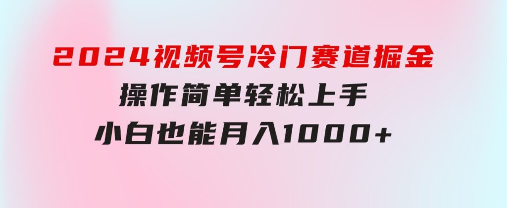 2024视频号冷门赛道掘金，操作简单轻松上手，小白也能月入1000+-海纳网创学院