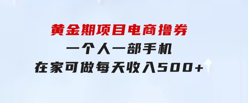 黄金期项目，电商撸券！一个人，一部手机，在家可做，每天收入500+-海纳网创学院