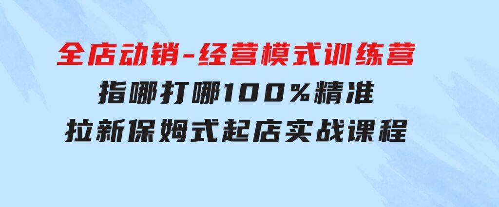 全店动销-经营模式训练营，指哪打哪100%精准拉新保姆式起店实战课程-海纳网创学院