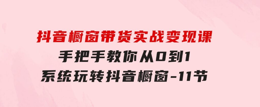 抖音橱窗带货实战变现课：手把手教你从0到1系统玩转抖音橱窗-11节-海纳网创学院