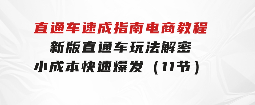 直通车速成指南电商教程：新版直通车玩法解密，小成本快速爆发（11节）-海纳网创学院