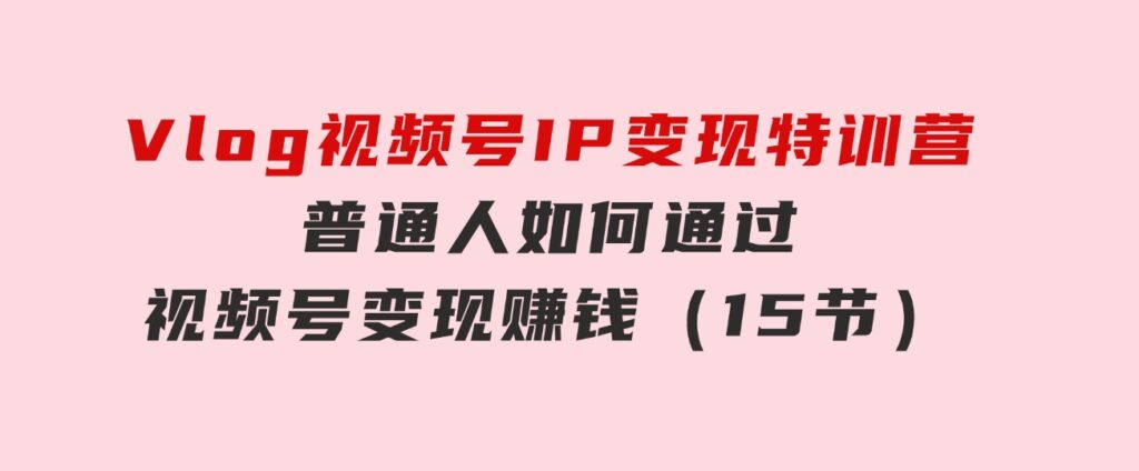 Vlog视频号IP变现特训营，普通人如何通过视频号变现赚钱（15节）-海纳网创学院