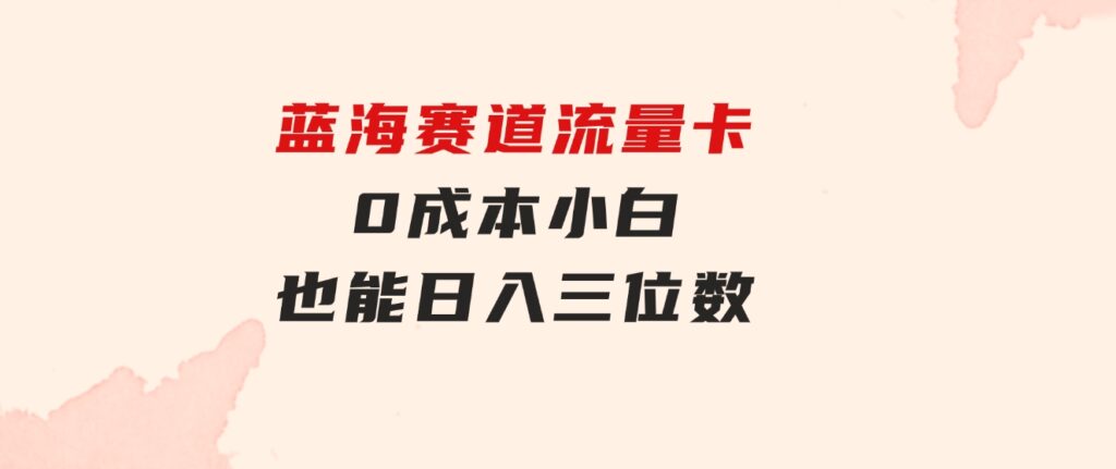 蓝海赛道流量卡0成本小白也能日入三位数-海纳网创学院