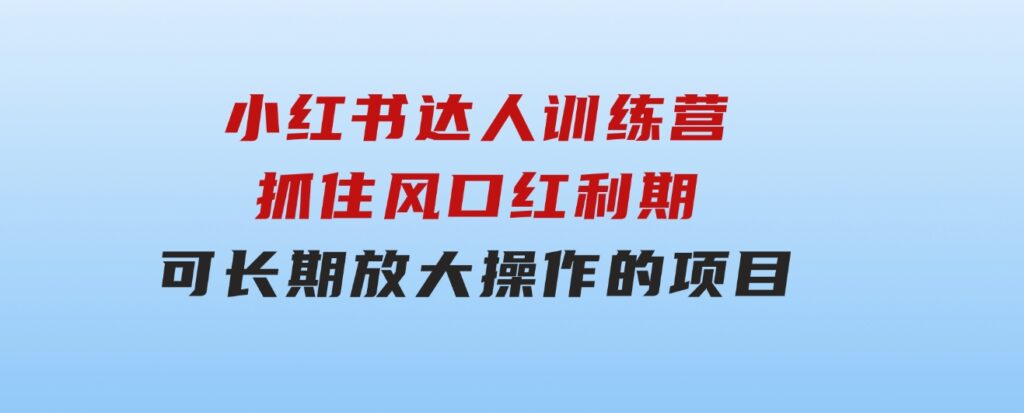 小红书达人训练营-第4期：抓住风口红利期，可长期，放大操作的项目-海纳网创学院