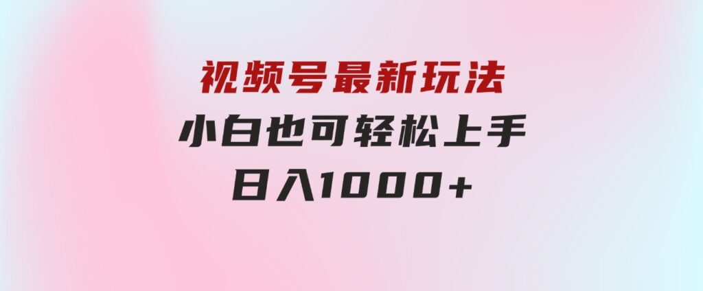 视频号最新玩法，小白也可轻松上手，日入1000+-海纳网创学院