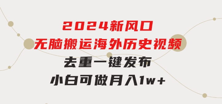 2024新风口，无脑搬运海外历史视频，去重一键发布，小白可做，月入1w不…-海纳网创学院