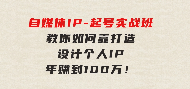 自媒体IP-起号实战班：教你如何靠打造设计个人IP，年赚到100万！-海纳网创学院