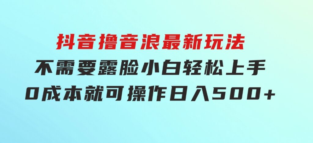 抖音撸音浪最新玩法，不需要露脸，小白轻松上手，0成本就可操作，日入500+-海纳网创学院