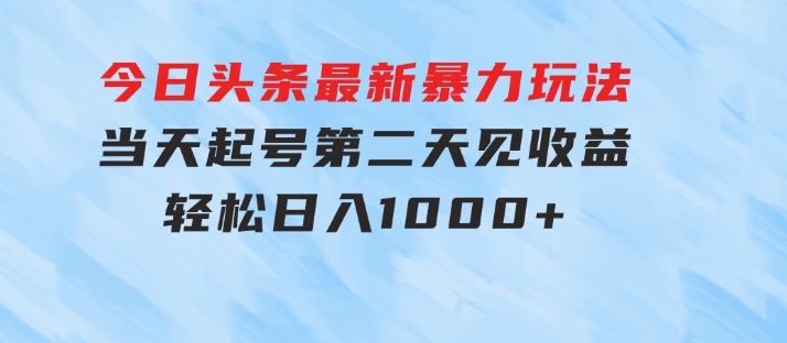 今日头条最新暴力玩法，当天起号，第二天见收益，轻松日入1000+-海纳网创学院