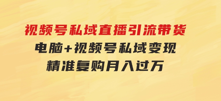 视频号私域直播引流带货：电脑+视频号，私域变现，精准复购，月入过万…-海纳网创学院