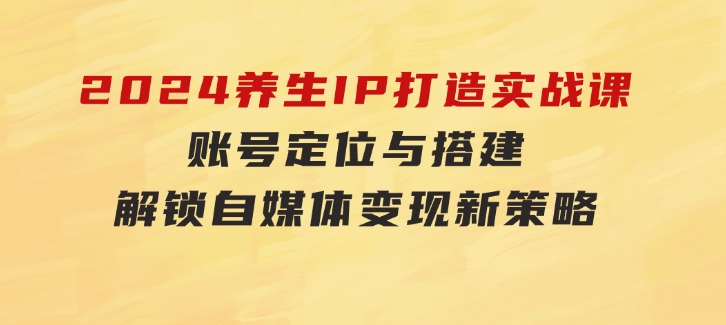 2024养生IP打造实战课：账号定位与搭建，解锁自媒体变现新策略-海纳网创学院