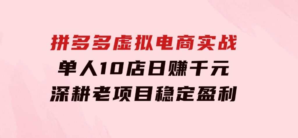 拼多多虚拟电商实战：单人10店日赚千元，深耕老项目，稳定盈利不求风口-海纳网创学院