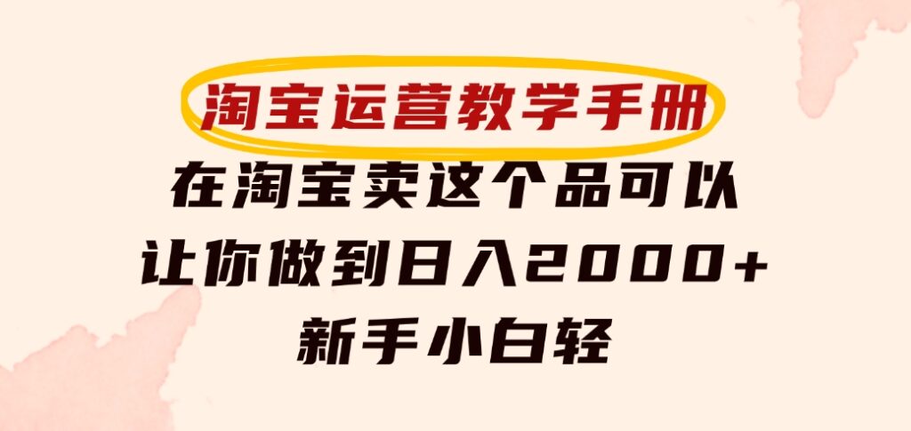 淘宝运营教学手册，在淘宝卖这个品可以让你做到日入2000+，新手小白轻-海纳网创学院