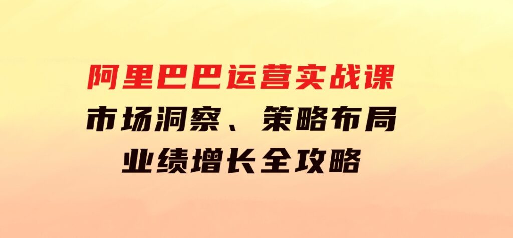 阿里巴巴运营实战课：市场洞察、策略布局、业绩增长全攻略-海纳网创学院