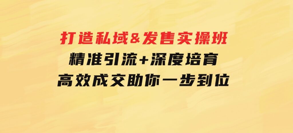 打造私域&发售实操班：精准引流+深度培育+高效成交，助你一步到位-海纳网创学院