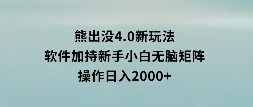 熊出没4.0新玩法，软件加持，新手小白无脑矩阵操作，日入2000+-海南千川网络科技