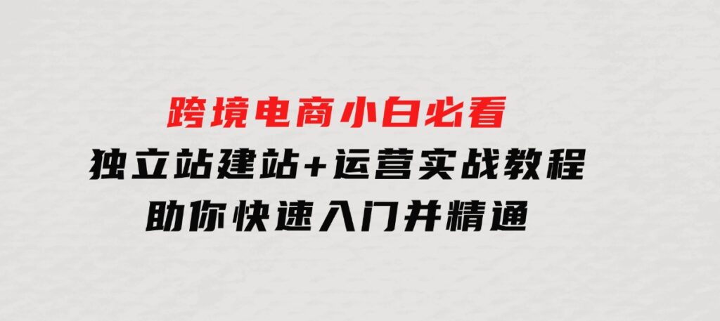 跨境电商小白必看！独立站建站+运营实战教程，助你快速入门并精通-海南千川网络科技