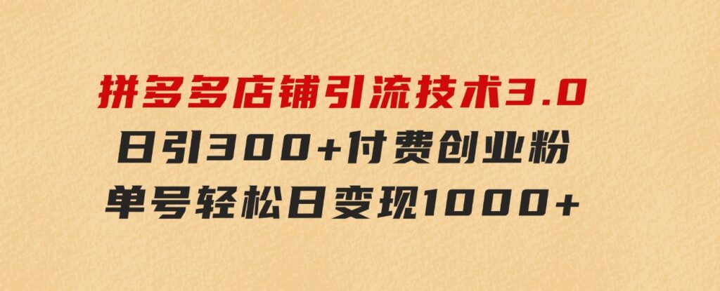 拼多多店铺引流技术3.0，日引300+付费创业粉，单号轻松日变现1000+-海南千川网络科技