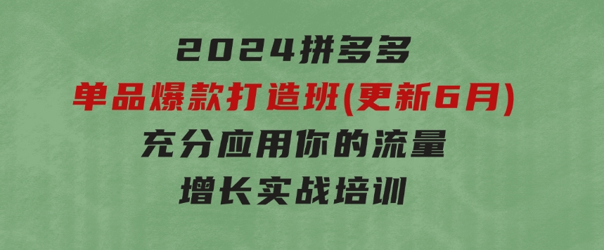 2024拼多多-单品爆款打造班(更新6月)，充分应用你的流量，增长实战培训-海南千川网络科技