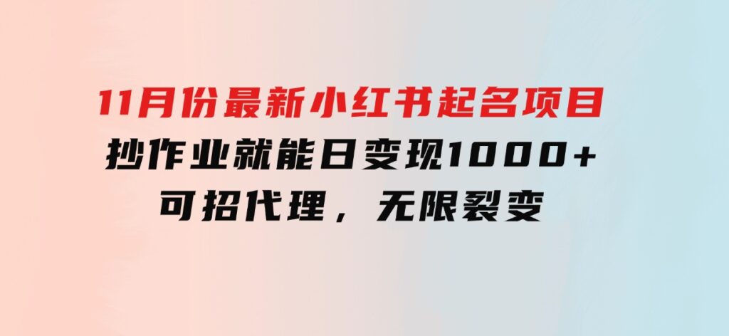 11月份最新小红书起名项目，抄作业就能日变现1000+，可招代理，无限裂变-海南千川网络科技