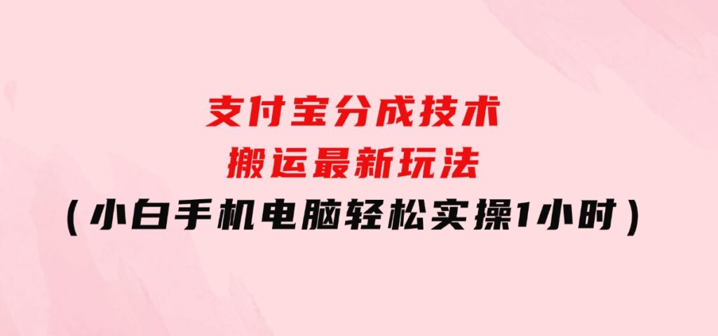 支付宝分成技术搬运“最新玩法”（小白手机电脑轻松实操1小时）-海南千川网络科技